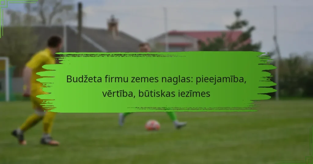 Budžeta firmu zemes naglas: pieejamība, vērtība, būtiskas iezīmes