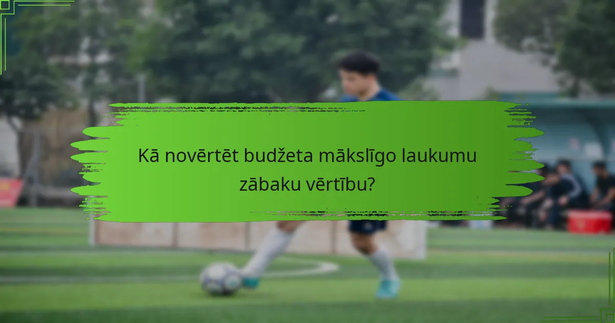 Kā novērtēt budžeta mākslīgo laukumu zābaku vērtību?