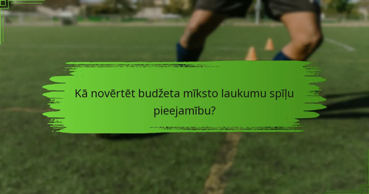Kā novērtēt budžeta mīksto laukumu spīļu pieejamību?