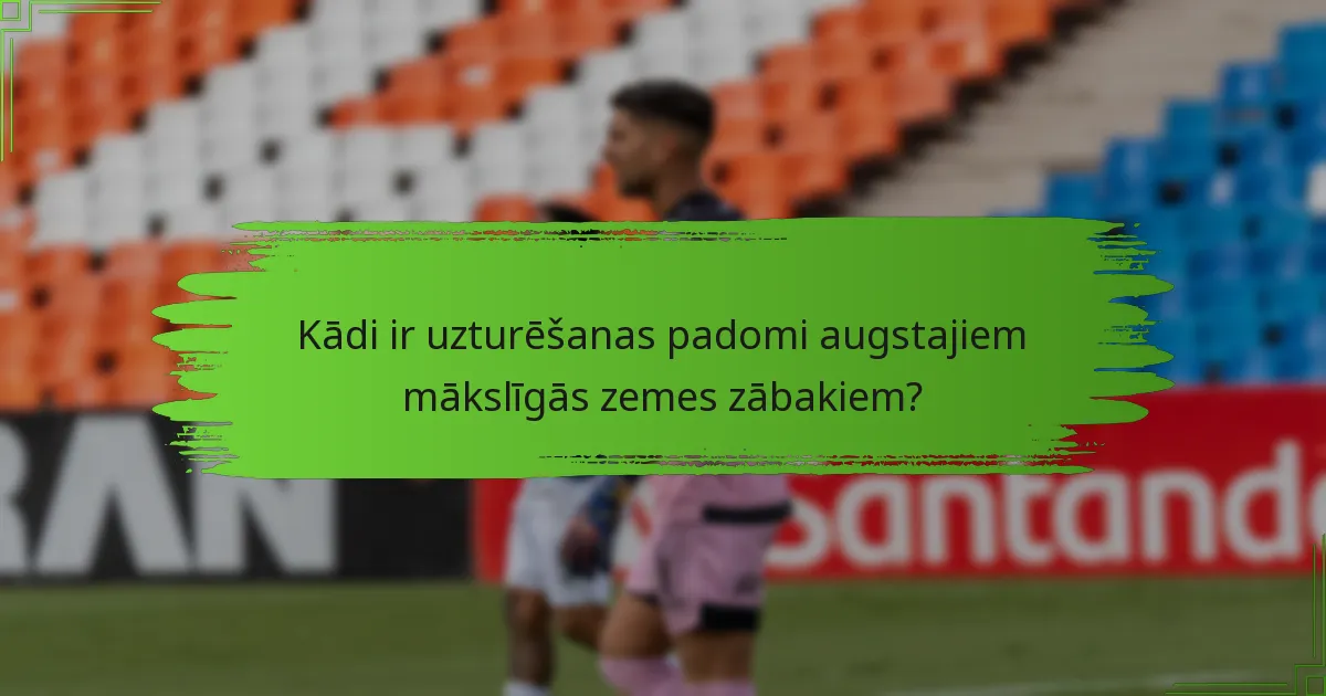 Kādi ir uzturēšanas padomi augstajiem mākslīgās zemes zābakiem?