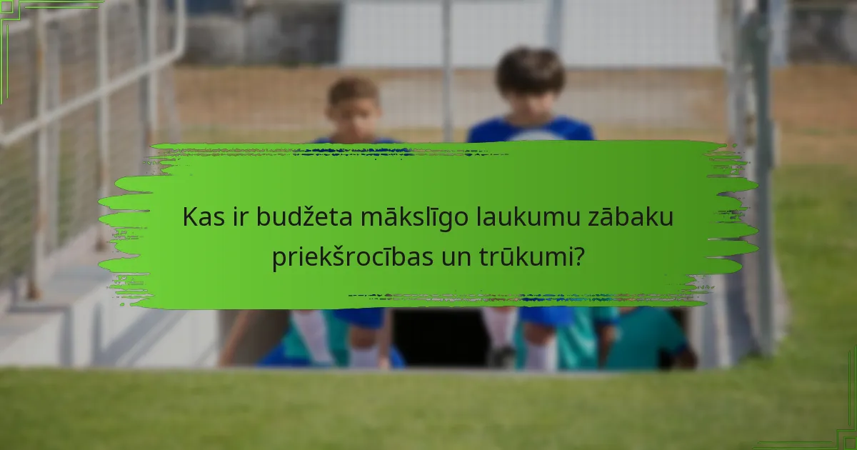 Kas ir budžeta mākslīgo laukumu zābaku priekšrocības un trūkumi?
