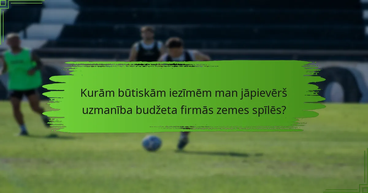 Kurām būtiskām iezīmēm man jāpievērš uzmanība budžeta firmās zemes spīlēs?