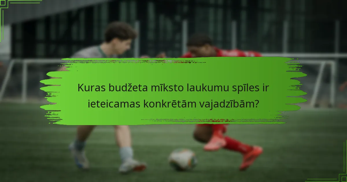 Kuras budžeta mīksto laukumu spīles ir ieteicamas konkrētām vajadzībām?