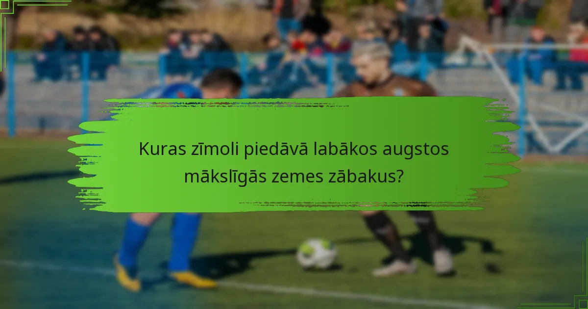 Kuras zīmoli piedāvā labākos augstos mākslīgās zemes zābakus?