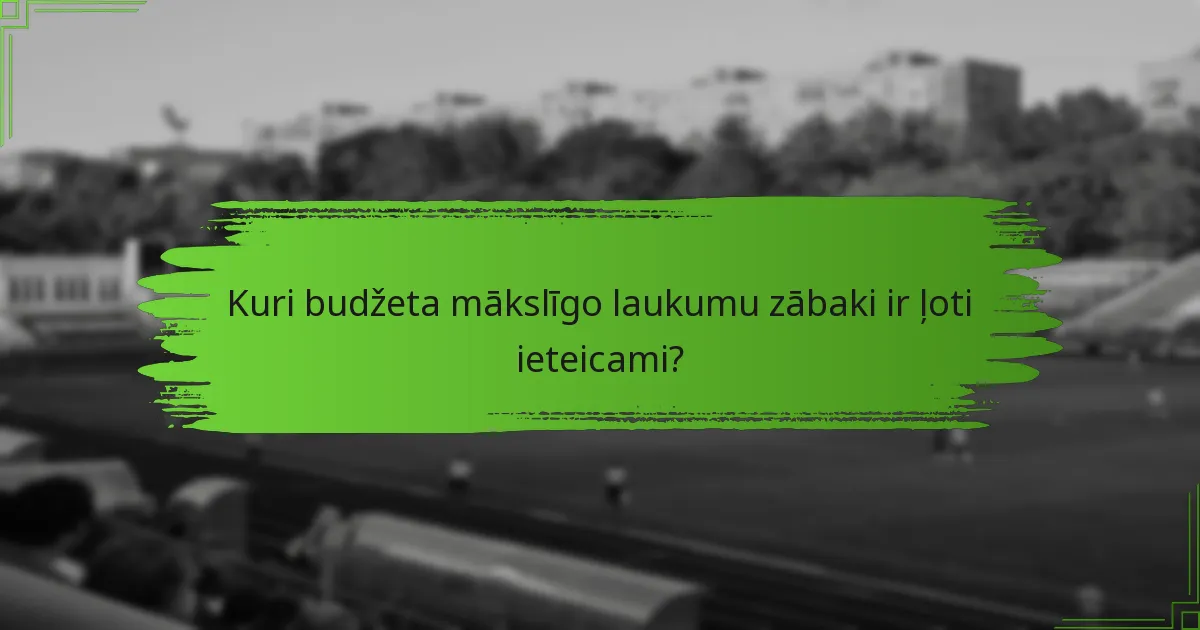 Kuri budžeta mākslīgo laukumu zābaki ir ļoti ieteicami?