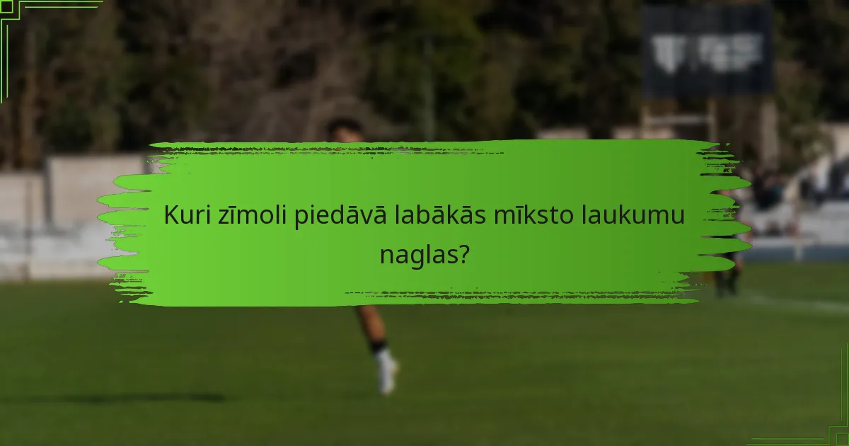Kuri zīmoli piedāvā labākās mīksto laukumu naglas?