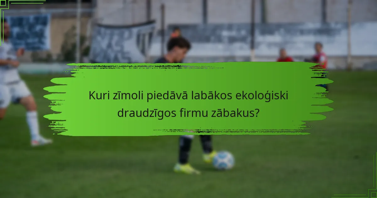 Kuri zīmoli piedāvā labākos ekoloģiski draudzīgos firmu zābakus?