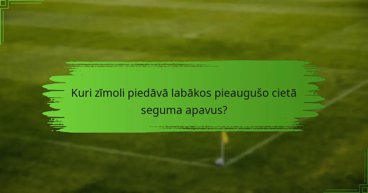 Kuri zīmoli piedāvā labākos pieaugušo cietā seguma apavus?